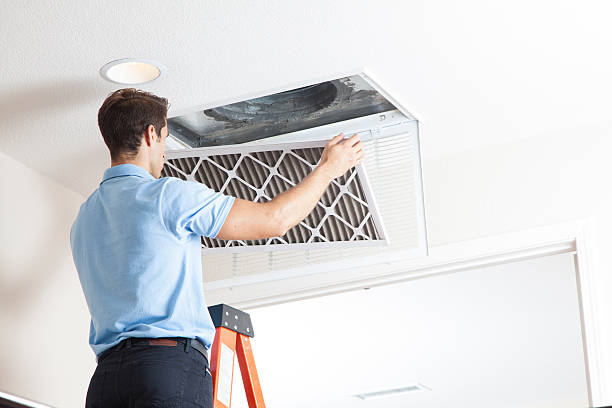 Best Solar-powered HVAC Systems in Danville, IA